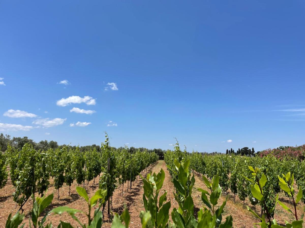 Agriturismo Terra Rossa Отранто Екстер'єр фото
