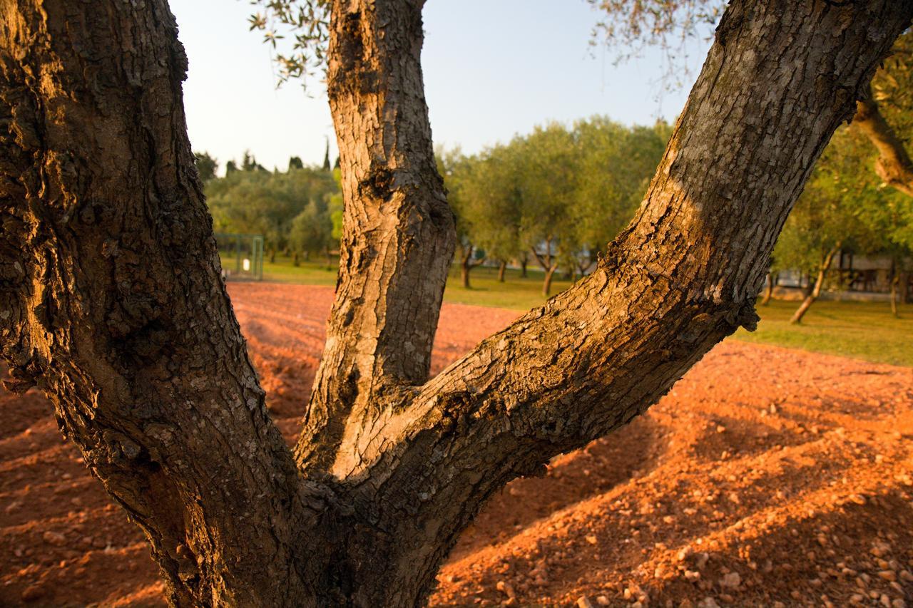 Agriturismo Terra Rossa Отранто Екстер'єр фото